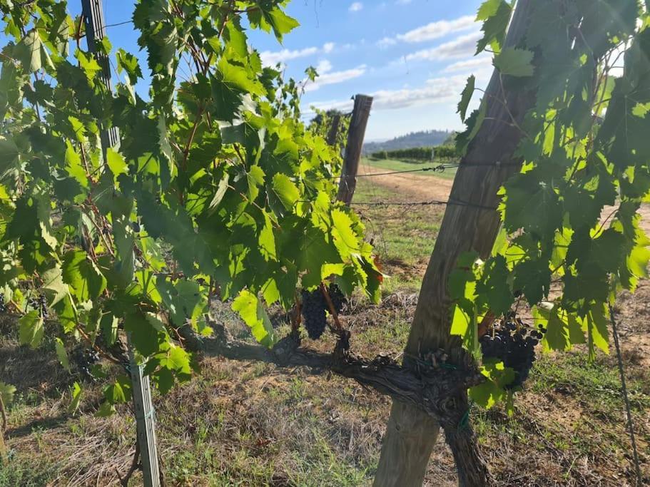 Montepulciano - La Casetta Del Pian Delle Noci Acquaviva  Luaran gambar