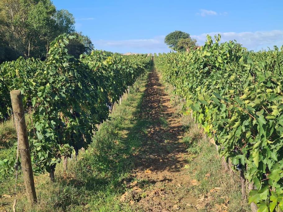 Montepulciano - La Casetta Del Pian Delle Noci Acquaviva  Luaran gambar