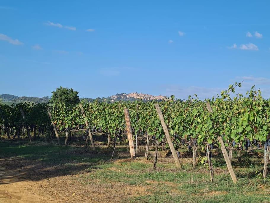 Montepulciano - La Casetta Del Pian Delle Noci Acquaviva  Luaran gambar