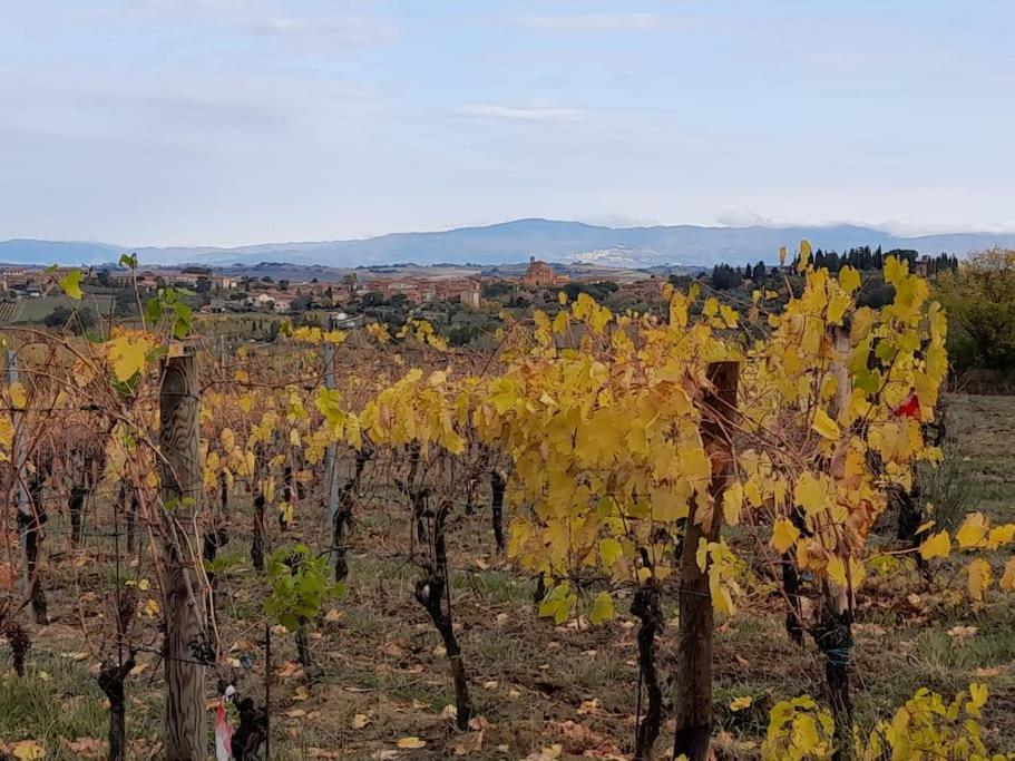 Montepulciano - La Casetta Del Pian Delle Noci Acquaviva  Luaran gambar