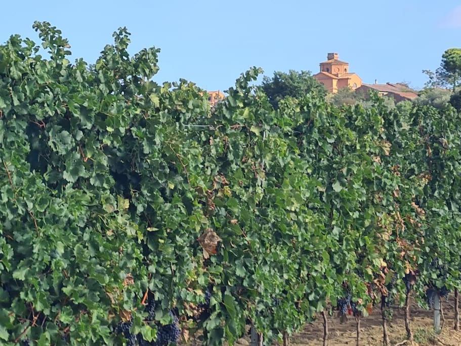 Montepulciano - La Casetta Del Pian Delle Noci Acquaviva  Luaran gambar
