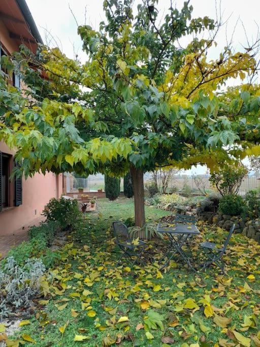 Montepulciano - La Casetta Del Pian Delle Noci Acquaviva  Luaran gambar