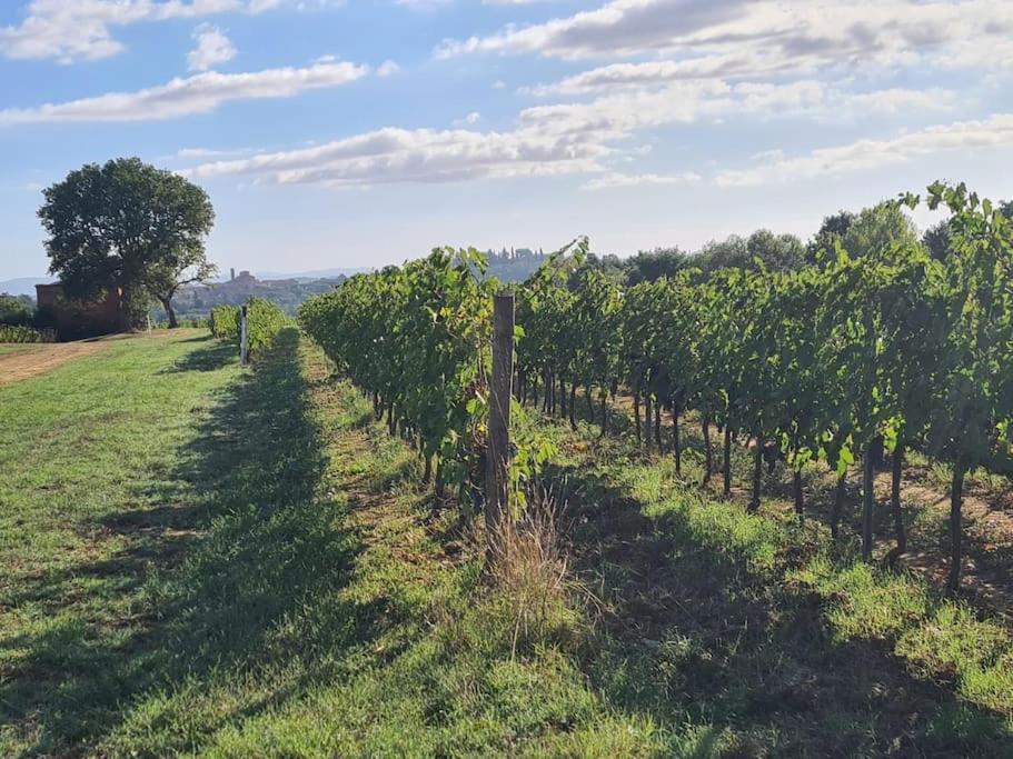 Montepulciano - La Casetta Del Pian Delle Noci Acquaviva  Luaran gambar