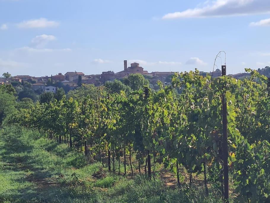 Montepulciano - La Casetta Del Pian Delle Noci Acquaviva  Luaran gambar
