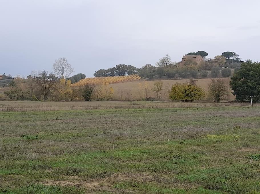Montepulciano - La Casetta Del Pian Delle Noci Acquaviva  Luaran gambar