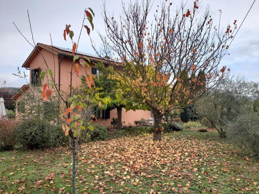 Montepulciano - La Casetta Del Pian Delle Noci Acquaviva  Luaran gambar
