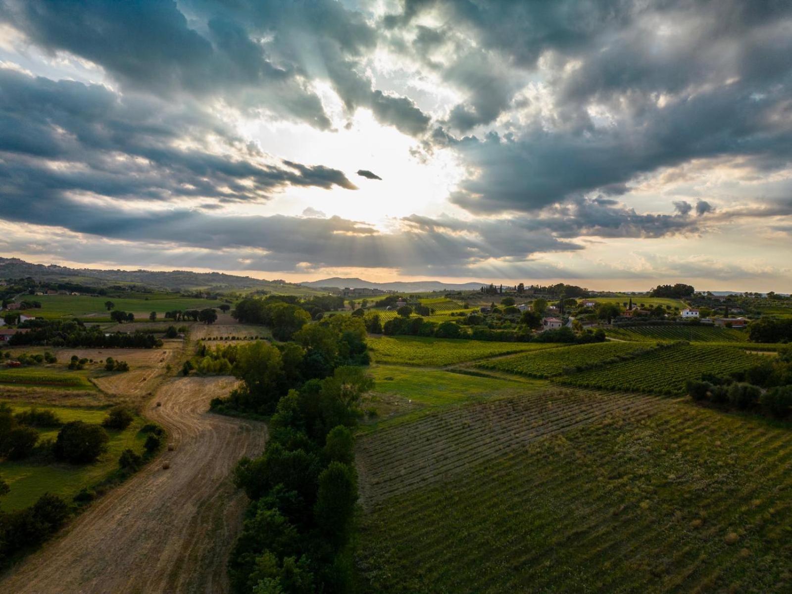 Montepulciano - La Casetta Del Pian Delle Noci Acquaviva  Luaran gambar