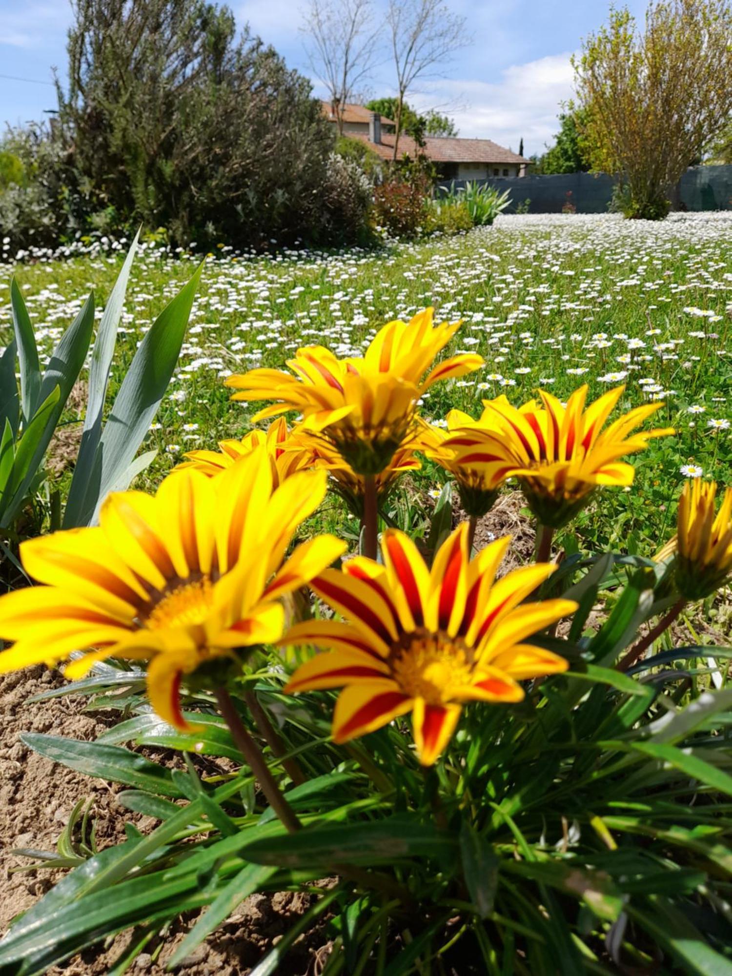 Montepulciano - La Casetta Del Pian Delle Noci Acquaviva  Luaran gambar