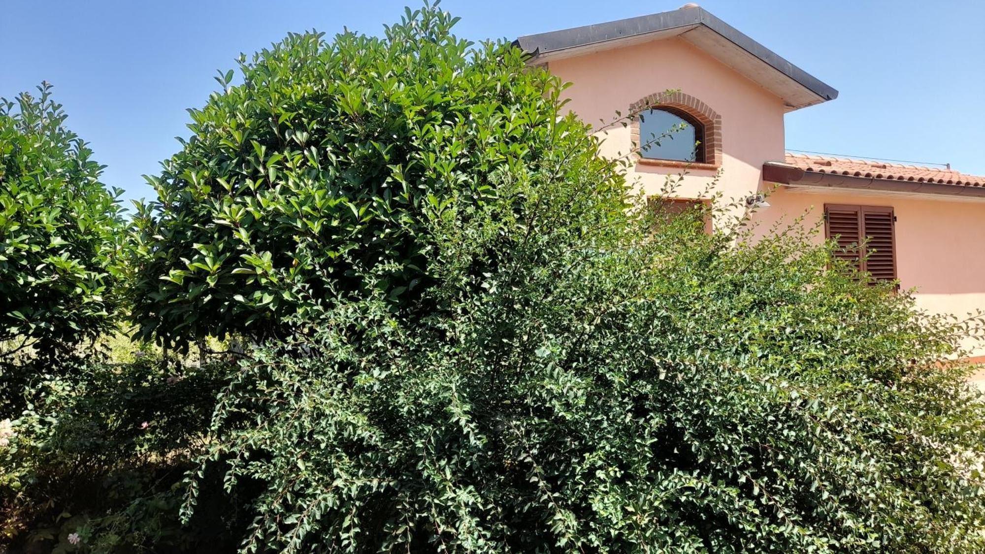 Montepulciano - La Casetta Del Pian Delle Noci Acquaviva  Luaran gambar